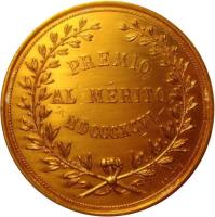 JPTI reverso