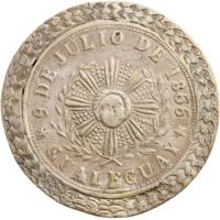 NMQE reverso